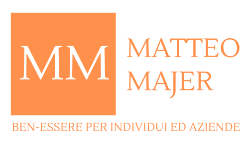 Logo Majer